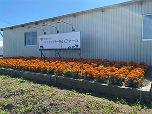 WEBサイトのリニューアルを行いました｜けーあいファーム