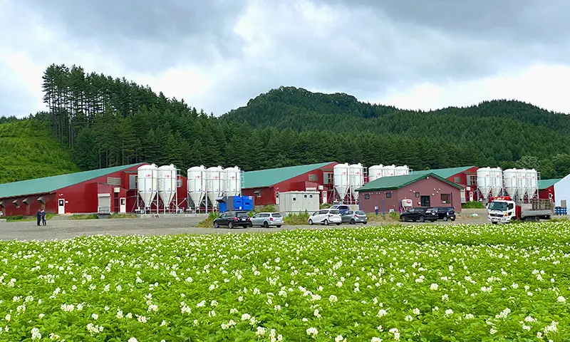 平取町 養豚場 くれないファームのご紹介 | 北海道千歳市 けー 平取町 養豚場 くれないファームのご紹介 | 北海道千歳市 けー